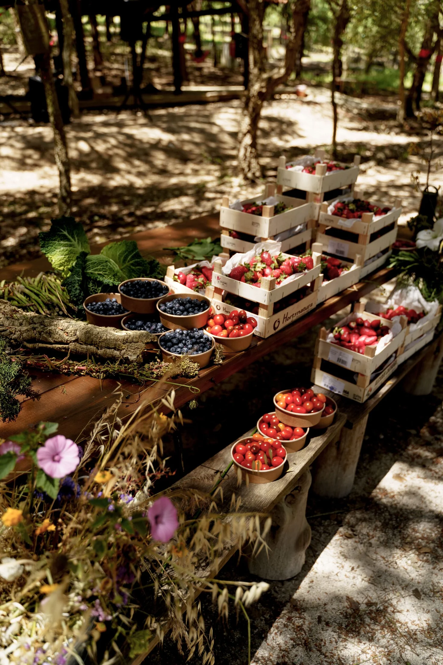 A colourful buffet arranged among the pine trees for Founders for Founders at DOMA