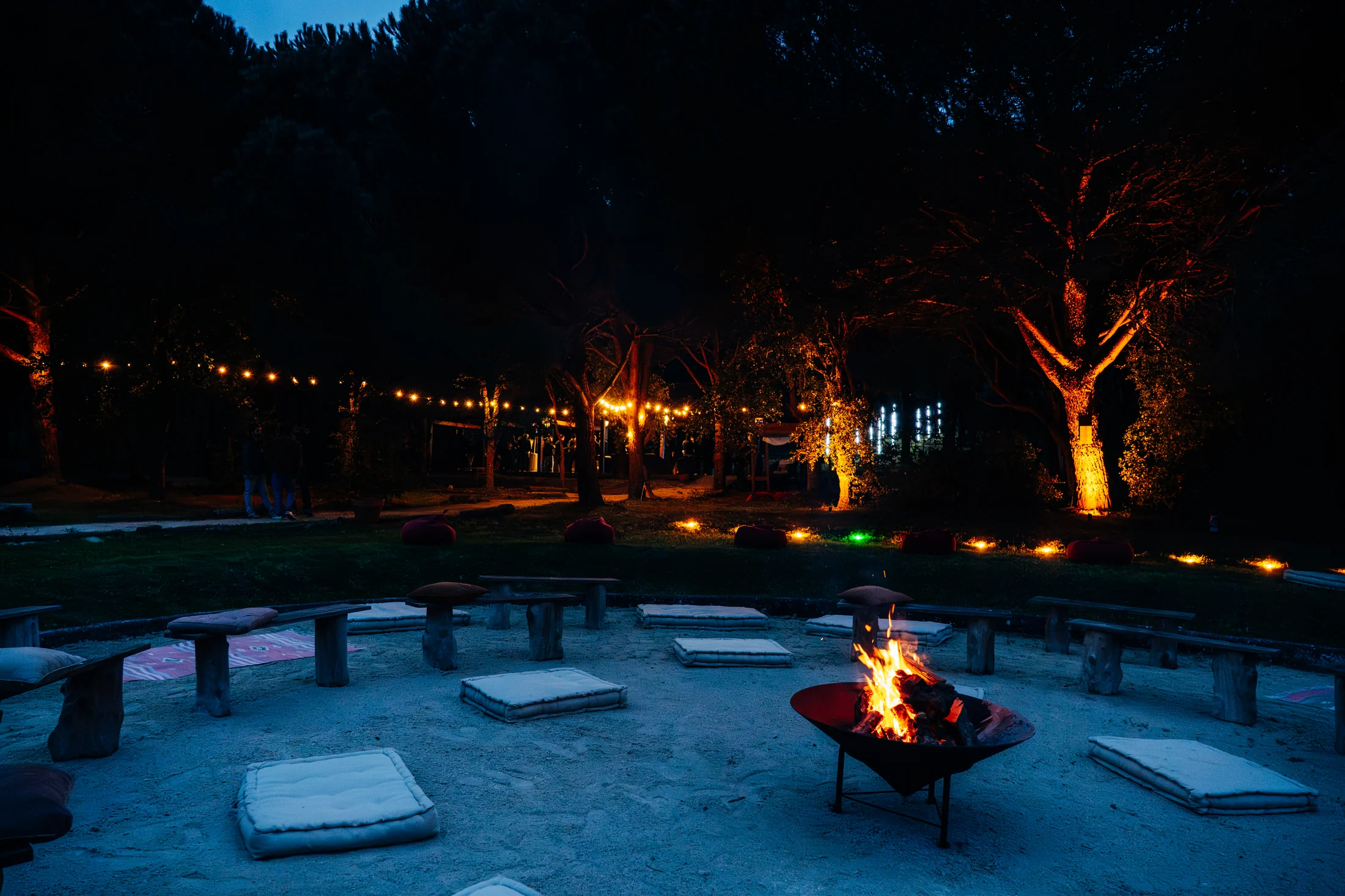 An evening firepit and lounge area among the trees at DOMA